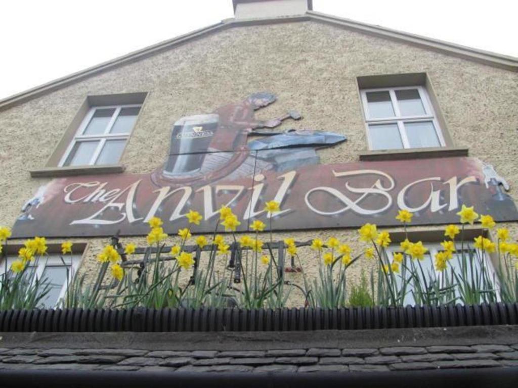 The Anvil Bar B&B Castlemaine Zewnętrze zdjęcie